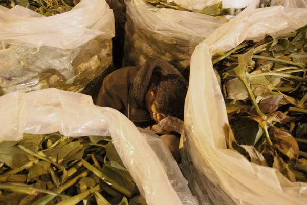 Người thì ngồi thu lu dưới đất giữa những sọt hàng. Người thì ngồi thu lu dưới đất giữa những sọt hàng.