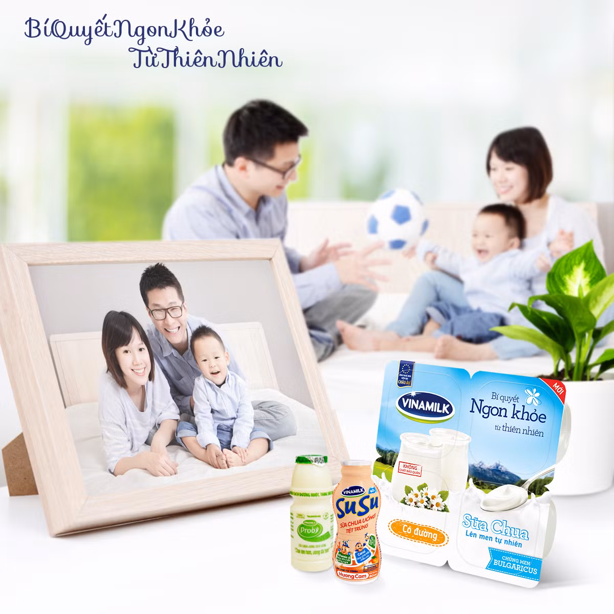 Sản phẩm sữa Vinamilk là thức uống dinh dưỡng quen thuộc với nhiều gia đình người Việt - ảnh nguồn Vinamilk Sản phẩm sữa Vinamilk là thức uống dinh dưỡng quen thuộc với nhiều gia đình người Việt - ảnh nguồn Vinamilk