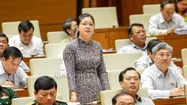 Cả thế giới khó tìm ra loại bột nở nào để làm nở kinh phí đầu tư như ở nước ta ảnh 5