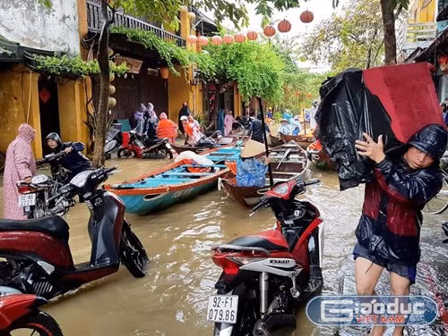 Học sinh nhiều vùng ở miền Trung phải nghỉ học do mưa lũ. (trong ảnh: phố cổ Hội An bị chìm trong nước lũ) Học sinh nhiều vùng ở miền Trung phải nghỉ học do mưa lũ. (trong ảnh: phố cổ Hội An bị chìm trong nước lũ)