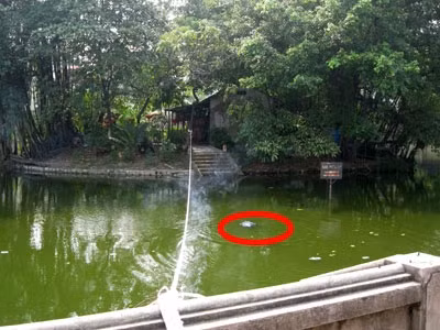 Hiện trường nơi phát hiện xác chết. Hiện trường nơi phát hiện xác chết.