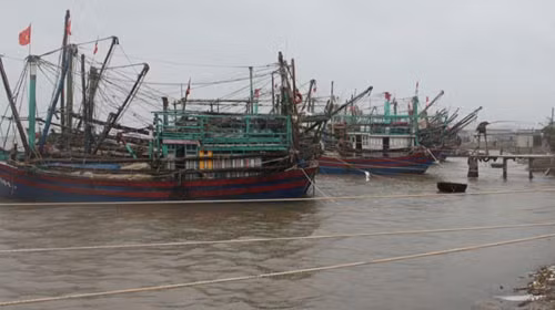 Bão quật đổ tháp truyền hình cao nhất Bắc Bộ ảnh 5 Bão quật đổ tháp truyền hình cao nhất Bắc Bộ, Tin tức trong ngày, bao son tinh, bao so 8, sieu bao, bao di chuyen nhanh, sieu bao son tinh, bao 2012, mua mua bao, mua mua bao 2012, bao, tin nhanh, tin hot, tin tuc, vn