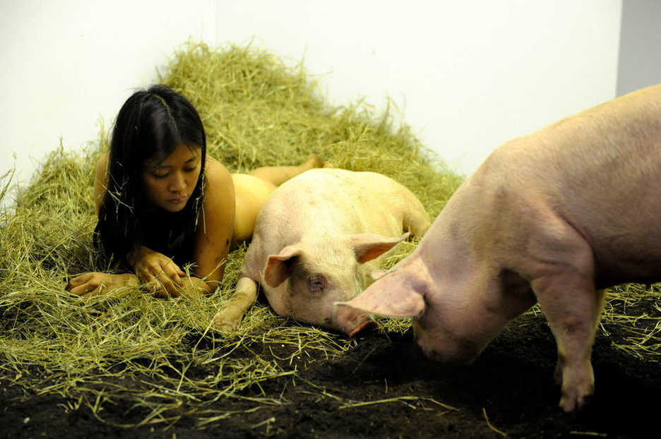 Ngày 1/12/2011, một nữ nghệ sĩ có tên Miru Kim đã có một triển lãm hết sức độc đáo... Ngày 1/12/2011, một nữ nghệ sĩ có tên Miru Kim đã có một triển lãm hết sức độc đáo...