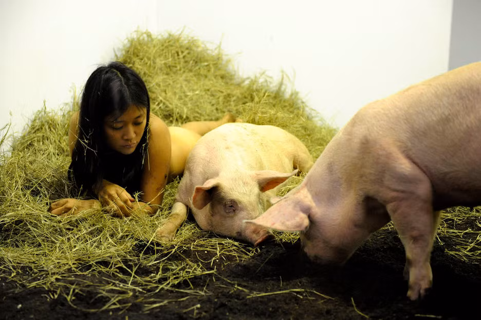 Ngày 1/12/2011, một nữ nghệ sĩ có tên Miru Kim đã có một triển lãm hết sức độc đáo...