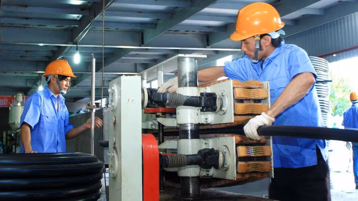 Nghị định có hiệu lực từ ngày 15/5/2020. Ảnh minh họa: baochinhphu.vn