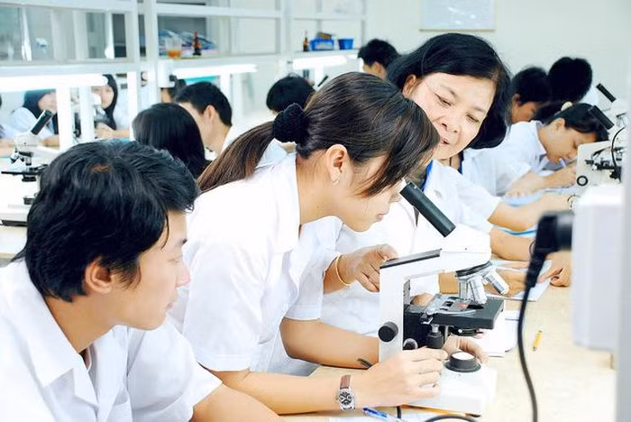 Kế hoạch thực hiện khung trình độ quốc gia giáo dục đại học ảnh 1 Kế hoạch thực hiện khung trình độ quốc gia giáo dục đại học ảnh 1