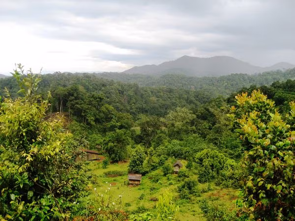Ảnh minh họa: baochinhphu.vn Ảnh minh họa: baochinhphu.vn