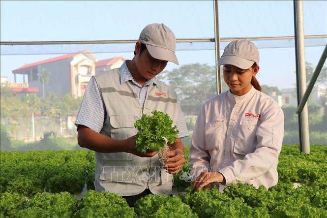 Ảnh minh họa: TTXVN Ảnh minh họa: TTXVN