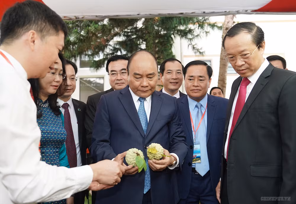 Hội nghị có sự tham dự của 500 đại biểu. (Ảnh: Chinhphu.vn) Hội nghị có sự tham dự của 500 đại biểu. (Ảnh: Chinhphu.vn)