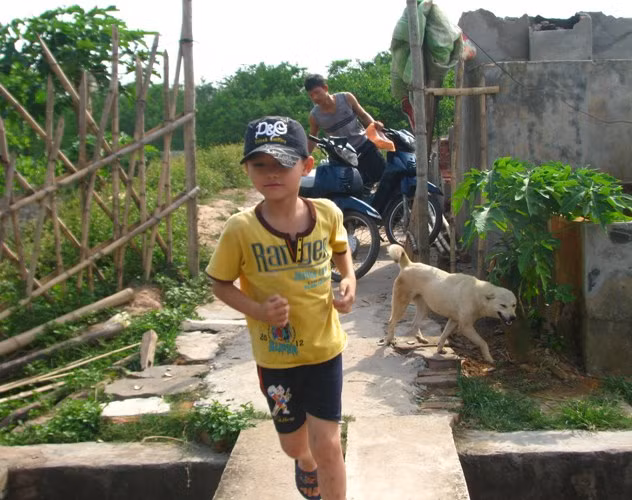 Ngoài sân, hai đứa trẻ đã đi mua dầu về để thắp đèn đánh đó.