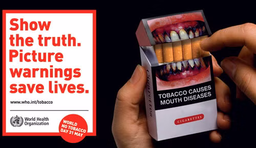 Thuốc lá hủy hoại cơ thể do ba chất chính có trong thuốc và khói thuốc lá là nicotin, carbon monoxide, và chất khói thuốc. Nicotin là loại thuốc an thần có tác dụng gây nghiện. Khi đang hút thuốc liên tục với số lượng nhiều mà bỏ thuốc đột ngột sẽ gây các rối loạn về tâm lí và sinh lí vì Nicotin vẫn còn trong máu. Carbon monoxide có trong máu làm giảm lưu lượng tuần hoàn máu tới các mô và trong thời gian dài sẽ bị xơ vữa động mạch