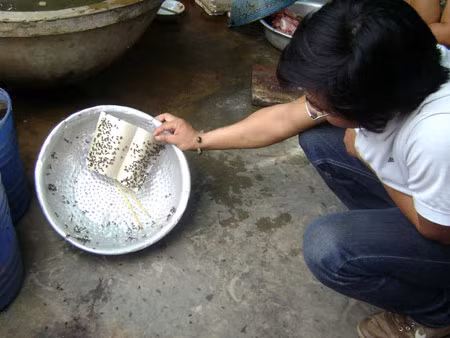 Khi ruồi nhiều quá nó sẽ gây rất khó chịu cho con người làm việc và nghỉ ngơi. Ruồi với chất bẩn mang trên thân, chân, vòi … làm bẩn nhà cửa, đồ đạc. Sự có mặt của chúng là dấu hiệu của điều kiện mất vệ sinh.