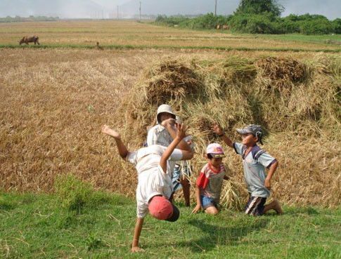 Ảnh minh hoạ. (Nguồn: Internet)