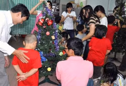Coi chừng mắc bệnh từ cây thông Noel, Sức khỏe, cay thong noel, suc khoe, benh tat, mac benh, bao phu nu,