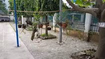 Học sinh trường Bình Hưng Hòa phải đóng cả tiền ...Quỹ tình bạn ảnh 3