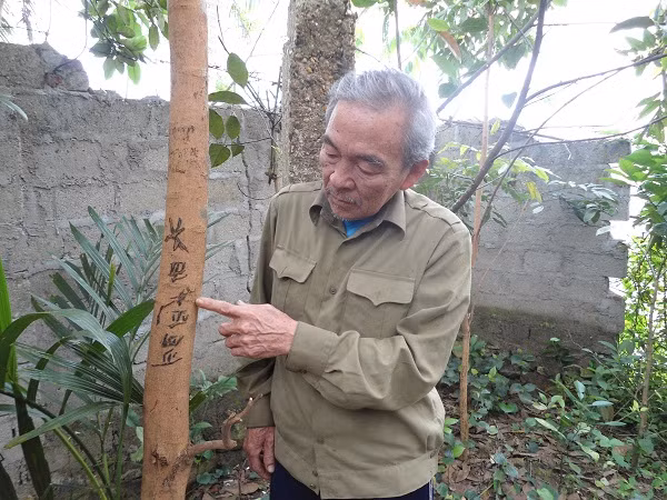 Ông Trịnh Xuân Vân chỉ dòng chữ bên cây nhãn cho phóng viên xem. Ông Trịnh Xuân Vân chỉ dòng chữ bên cây nhãn cho phóng viên xem.