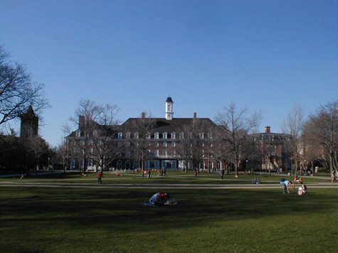 Đại học Illinois – Urbana - Champaign bao gồm 17 trường học và cao đẳng, trong đó ngành kỹ thuật, tâm lý được đánh giá là một trong số những ngành tốt nhất nước Mỹ. Đại học Illinois là trường đầu tiên mở rộng cửa cho người tàn tật có thể truy cập tất cả chương trình học, sử dụng các dịch vụ và các cơ sở của trường.