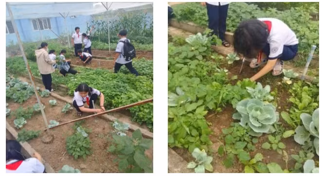 thcsleloi.giaoduc.net.vn.jpg