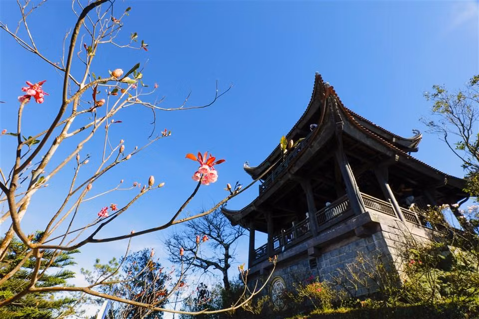 Khu tâm linh trên đỉnh Bà Nà là khu vực tập trung nhiều cây hoa Đào chuông nhất. Bên những mái chùa, nhành đào chuông khẽ nở, khung cảnh thanh tịnh, an yên ấy khiến người ta cứ muốn níu lại nơi này mãi. (Ảnh: NAG Phạm Phùng)