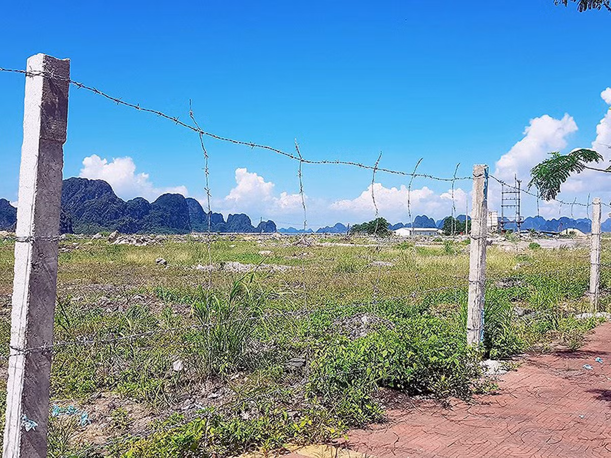 Sau 14 năm, dự án triệu tỉ tại thành phố Cẩm Phả (Quảng Ninh) vẫn chỉ là bãi đất trống (Ảnh: Lã Tiến)