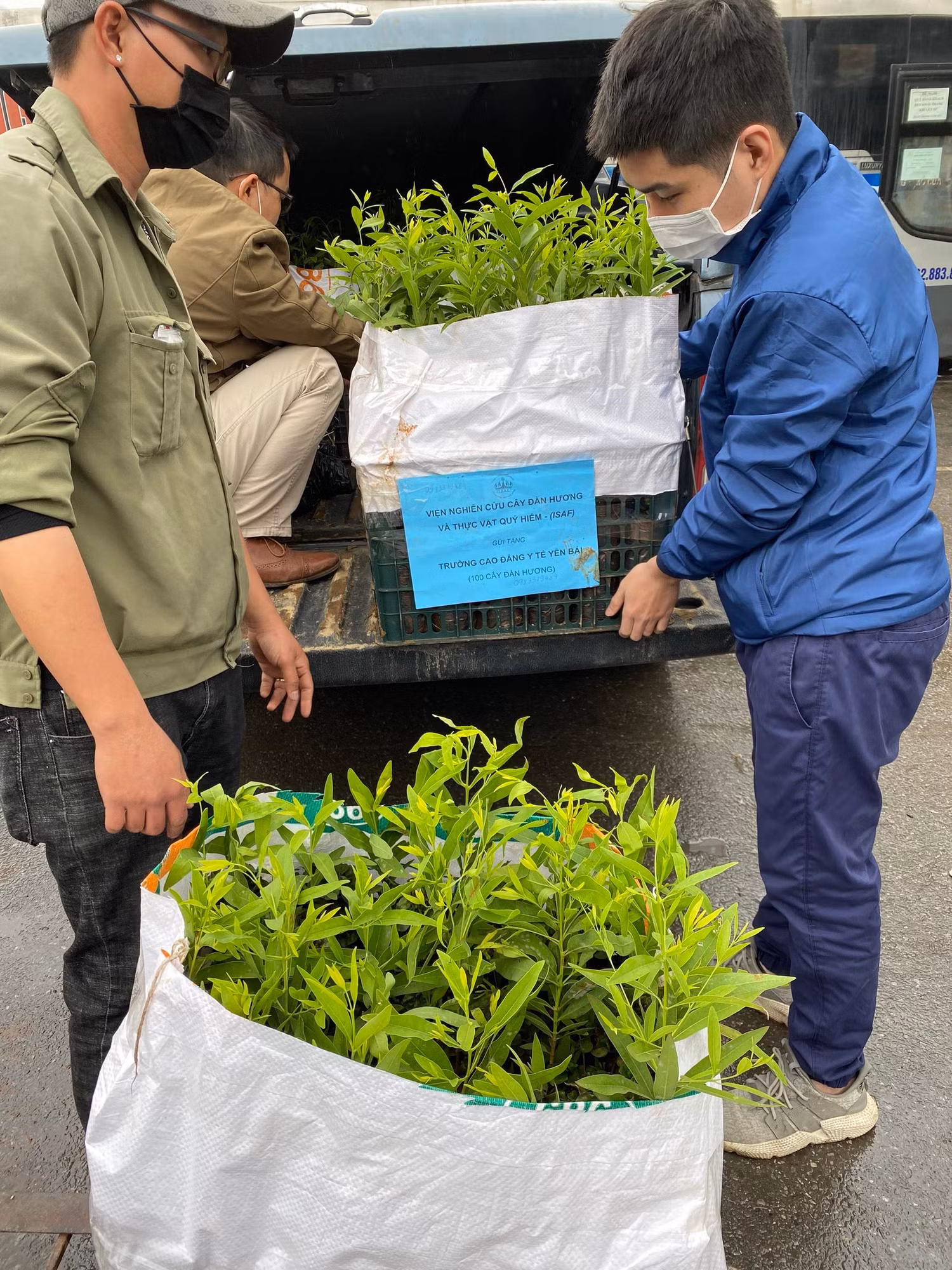 Các trường đại học, cao đẳng có diện tích đất trồng đã thực hiện trồng cây, góp phần xanh hóa khuôn viên trường học. Các trường đại học, cao đẳng có diện tích đất trồng đã thực hiện trồng cây, góp phần xanh hóa khuôn viên trường học.