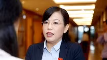 Bà Nguyễn Thanh Hải đề nghị Chính phủ xem xét lại kế hoạch phát triển nguồn nhân lực 2011 - 2020. ảnh: Minh Thắng.