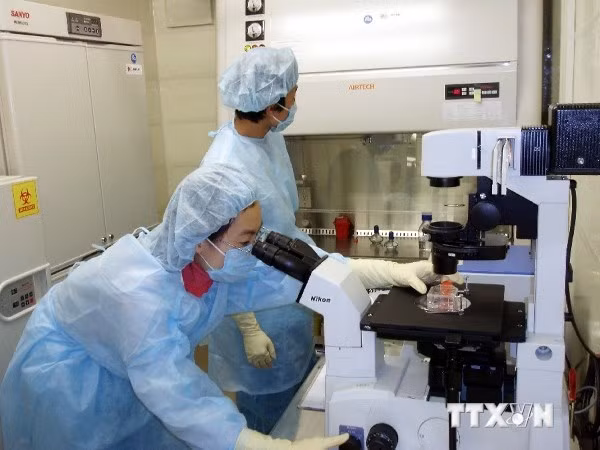 Nghị định 103 quy định chặt chẽ điều kiện xét nghiệm vi sinh vật gây bệnh truyền nhiễm. ảnh minh họa: TTXVN.