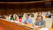 Bộ trưởng Nguyễn Thái Bình nói "tất tần tật" những gì yếu kém ảnh 2