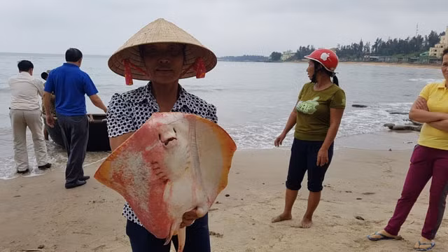 Thủ tướng Chính phủ chỉ đạo về khắc phục sự cố giao thông do mưa lũ ảnh 2