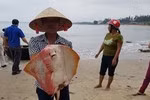 Thượng tướng Võ Trọng Việt: “Phải xem lại công tác cán bộ” ảnh 2