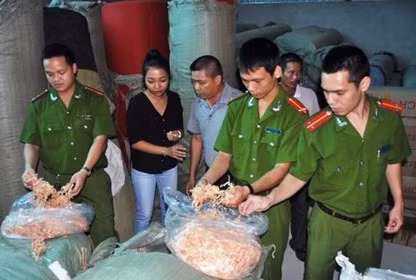 Cơ quan công an bắt giữ gần 2 tấn cá mực xé sợi được xác định là cao su. (Ảnh: TTXVN) Cơ quan công an bắt giữ gần 2 tấn cá mực xé sợi được xác định là cao su. (Ảnh: TTXVN)