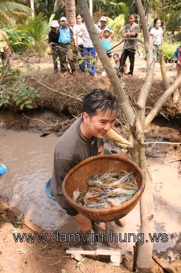 Thành quả mà Mr Đàm đạt được.
