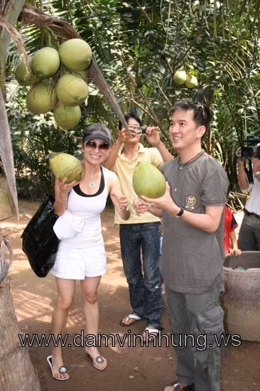 Đàm vĩnh Hưng tự tay hái một trái dừa.