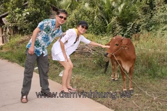 Mr Đàm vui vẻ chụp ảnh với bò.
