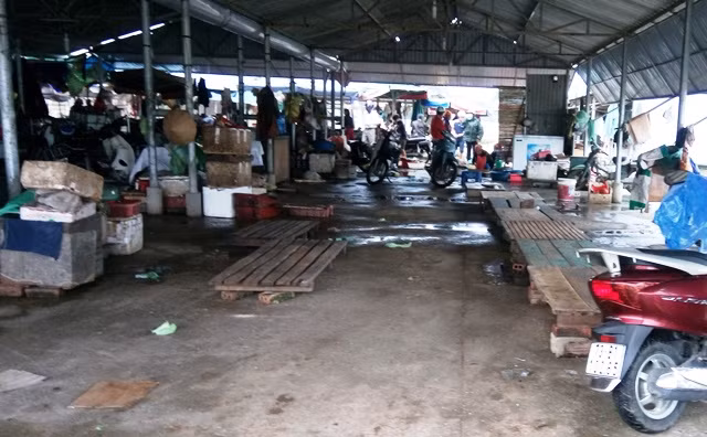 Cá chết ở đâu đó dạt vào bờ, chắc gì đã phải do xả thải? ảnh 2