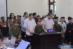 Những mâu thuẫn trong lời khai của bà Triệu Thị Chính trước Tòa ảnh 3