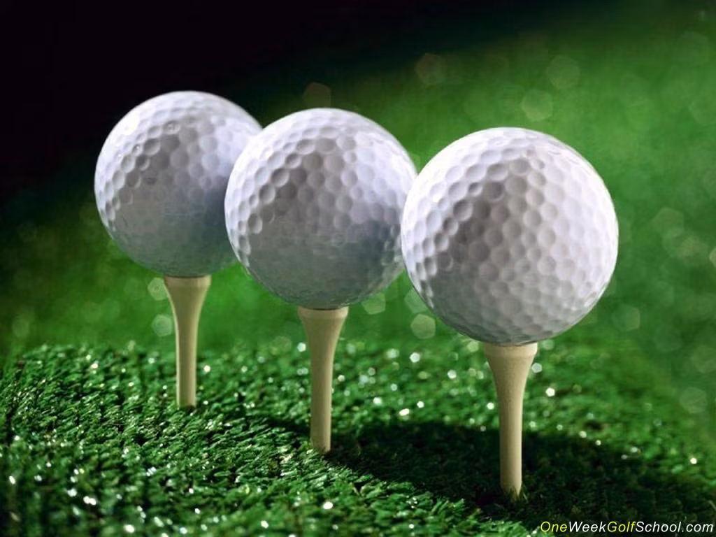 Quyết định cấm lãnh đạo, cán bộ ngành GTVT chơi golf của Bộ trưởng Thăng vẫn đang nhận được nhiều sự quan tâm của dư luận.
