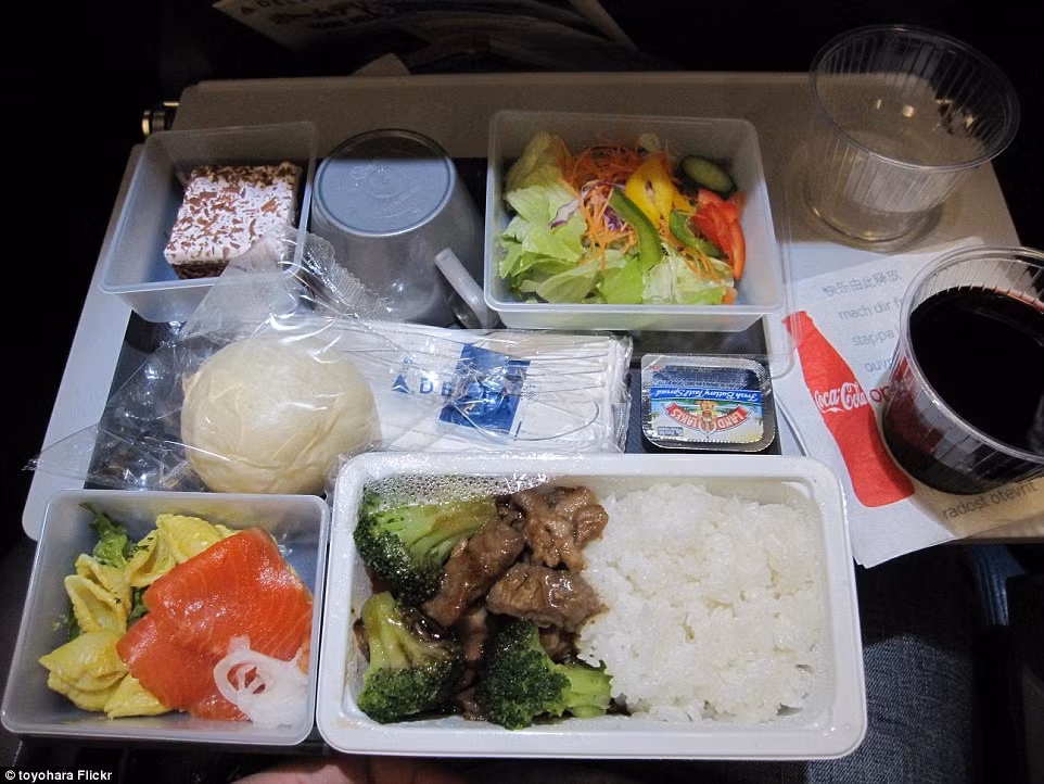 Hương vị bữa ăn đậm chất Nhật Bản của hãng hàng không Delta Airlines, Mỹ phục vụ hành khách bắt đầu là món sashimi cá hồi, mì ống, cơm trắng với súp lơ xanh, bắp cải tím, cà rốt và thịt bò hoặc thịt gà sốt. Đồ tráng miệng là một chiếc bánh ngọt nhỏ. Hương vị bữa ăn đậm chất Nhật Bản của hãng hàng không Delta Airlines, Mỹ phục vụ hành khách bắt đầu là món sashimi cá hồi, mì ống, cơm trắng với súp lơ xanh, bắp cải tím, cà rốt và thịt bò hoặc thịt gà sốt. Đồ tráng miệng là một chiếc bánh ngọt nhỏ.