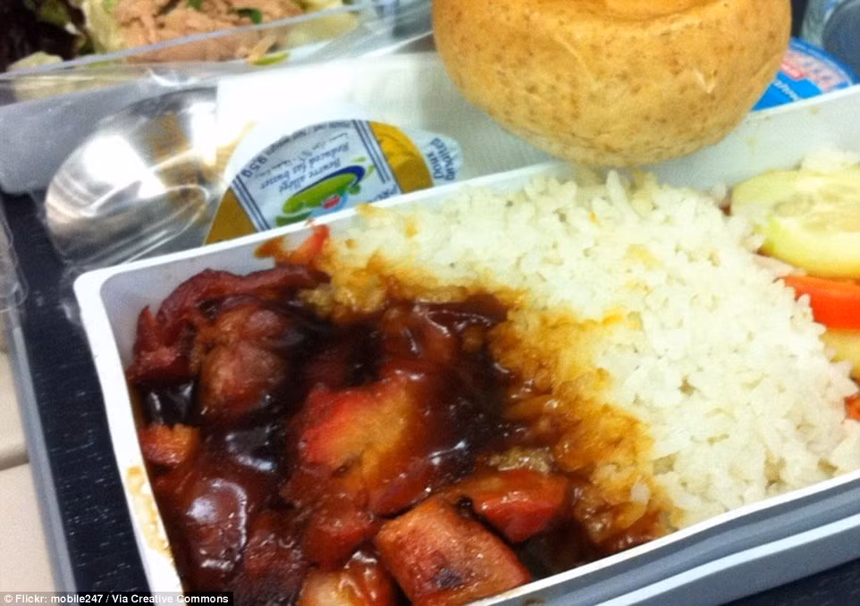 Hãng hàng không Singapore Airlines phục vụ khách hàng cá ngừ, cần tây, cơm thịt kho, bánh mì và bánh trà xanh. Hãng hàng không Singapore Airlines phục vụ khách hàng cá ngừ, cần tây, cơm thịt kho, bánh mì và bánh trà xanh.