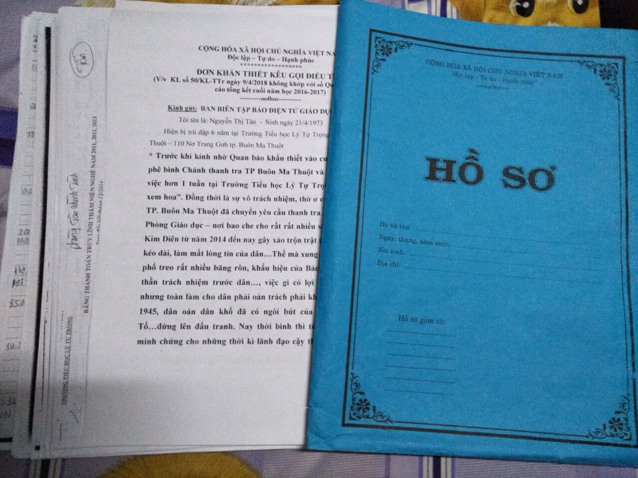 Hồ sơ minh chứng sai phạm thu chi của hiệu trưởng và những lá đơn tố cáo của cô giáo Tân (Tài liệu do nhân vật cung cấp)