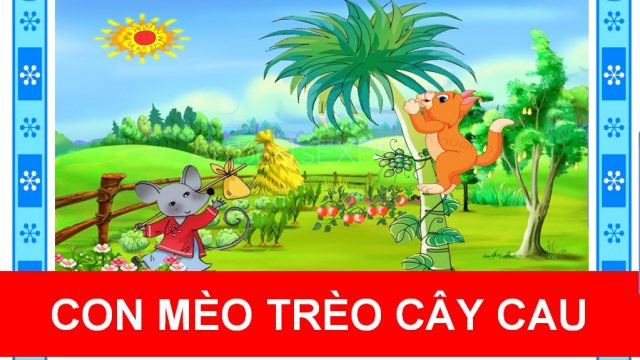 Con mèo trèo cây cau (Ảnh minh họa: tác giả cung cấp). Con mèo trèo cây cau (Ảnh minh họa: tác giả cung cấp).