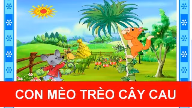 Con mèo trèo cây cau (Ảnh minh họa: tác giả cung cấp).