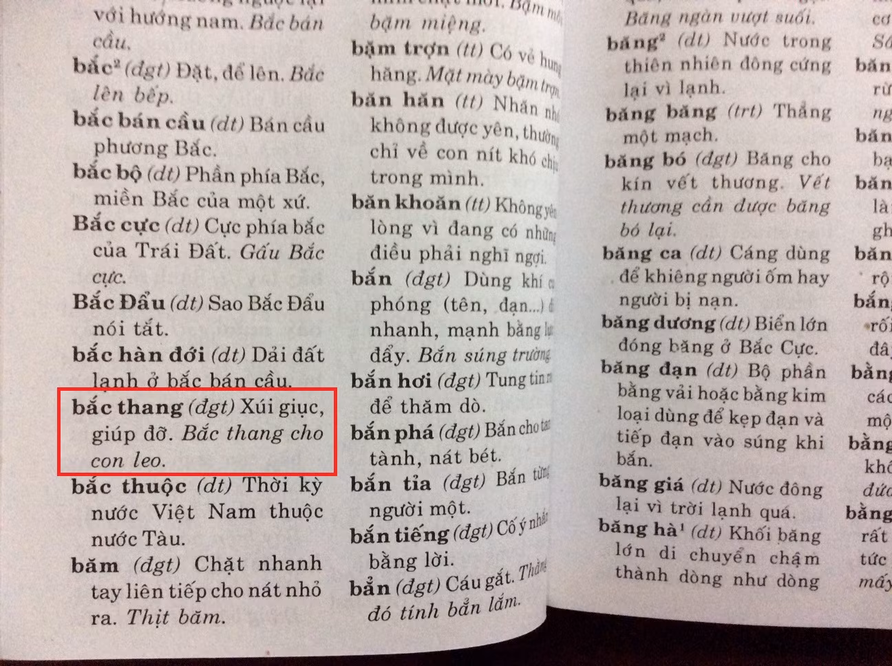 Một số từ dẫn trong cuốn Từ điển Tiếng Việt dành cho học sinh của hai tác giả Khắc Trí và Trọng Tấn. Ảnh Hồng Nhung