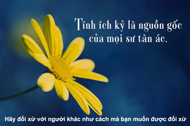 Hiệu trưởng Lệ Anh vô cảm với nỗi đau của học sinh, bà nên từ chức ảnh 1 Hiệu trưởng Lệ Anh vô cảm với nỗi đau của học sinh, bà nên từ chức ảnh 1
