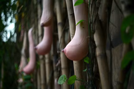 Đến quán cà phê ngoài trời của Viện Goethe Hà Nội vào những ngày này, nhiều người không khỏi ngỡ ngàng trước một giàn cây leo mới xuất hiện ở nơi đây. Đó là một giàn mướp được dựng trên những sào tre, dựa vào bức tường vốn thường được để trống khiến cho không gian của quán như thoáng đãng, gần gũi với thiên nhiên hơn… Đến quán cà phê ngoài trời của Viện Goethe Hà Nội vào những ngày này, nhiều người không khỏi ngỡ ngàng trước một giàn cây leo mới xuất hiện ở nơi đây. Đó là một giàn mướp được dựng trên những sào tre, dựa vào bức tường vốn thường được để trống khiến cho không gian của quán như thoáng đãng, gần gũi với thiên nhiên hơn…