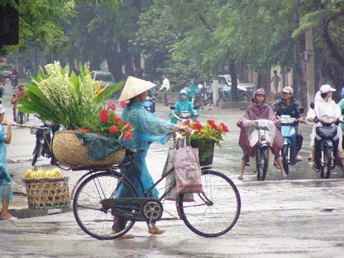 Ảnh minh họa. Ảnh minh họa.