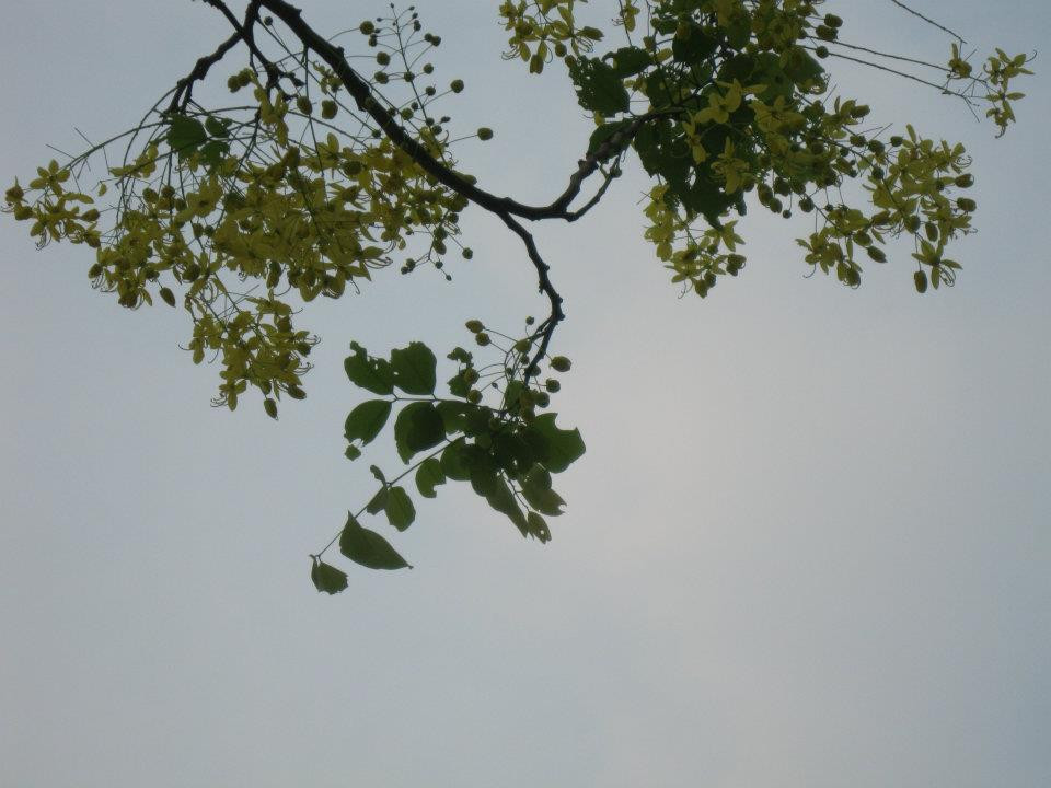 Khoảng vắng. Khoảng vắng.