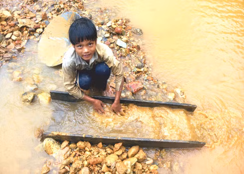 Học lớp 3 nhưng em Hồ Văn Nam ở xã Trà Thanh, huyện Tây Trà, phải nghỉ để đi làm phu vàng. Học lớp 3 nhưng em Hồ Văn Nam ở xã Trà Thanh, huyện Tây Trà, phải nghỉ để đi làm phu vàng.