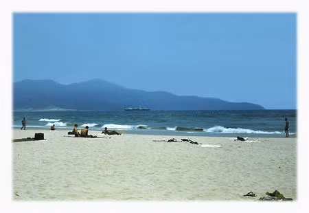 Bãi biển Đà Nẵng, lúc đó rất nổi tiếng với cái tên “China Beach”. Những bãi cát ở đây trắng mịn như đường kính. Núi Khỉ ở phía xa. Bãi biển Đà Nẵng, lúc đó rất nổi tiếng với cái tên “China Beach”. Những bãi cát ở đây trắng mịn như đường kính. Núi Khỉ ở phía xa.