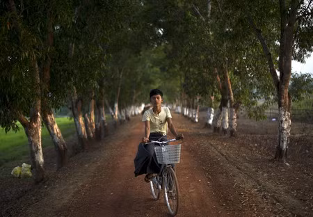 Một cậu bé đạp xe trên con đường đất ở Bago, Myanmar. Nếu không đọc chú thích, hẳn rất nhiều người sẽ nghĩ đây là một bức ảnh được chụp ở vùng nông thôn Việt Nam. Một cậu bé đạp xe trên con đường đất ở Bago, Myanmar. Nếu không đọc chú thích, hẳn rất nhiều người sẽ nghĩ đây là một bức ảnh được chụp ở vùng nông thôn Việt Nam.